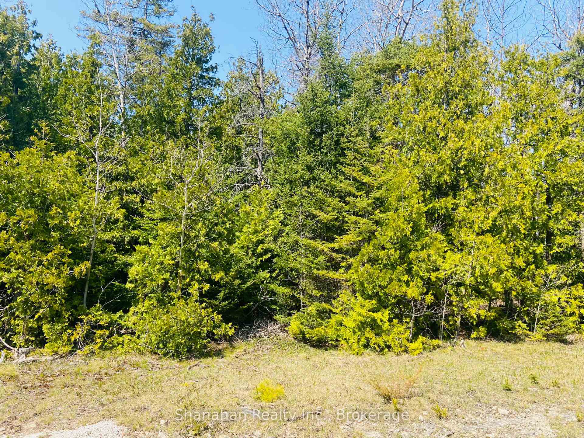 Property Photo: Lot 11 Norburn Road ON N0H 1W0