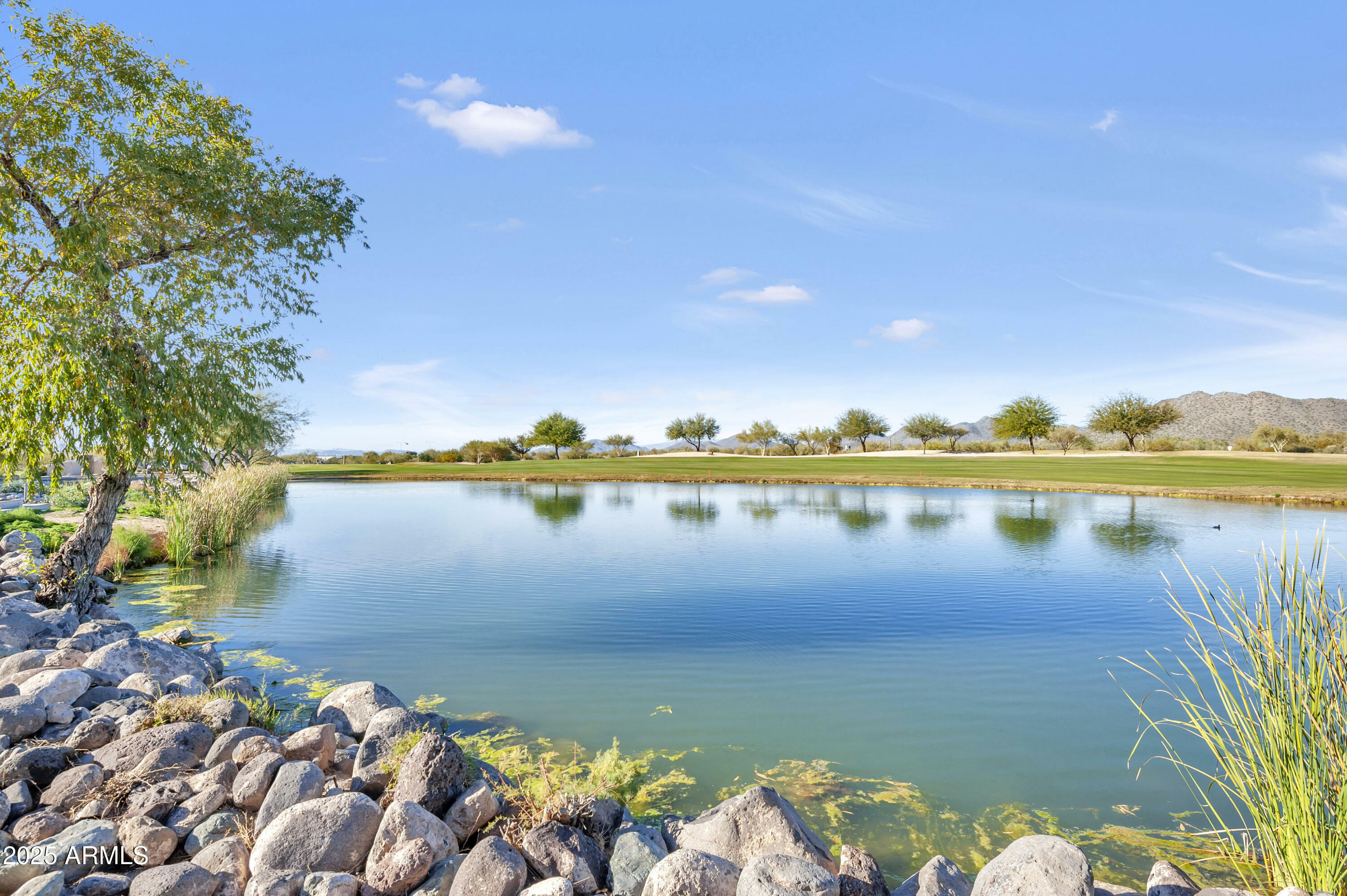 Property Photo: 33575 N Dove Lakes Drive 2033 AZ 85331