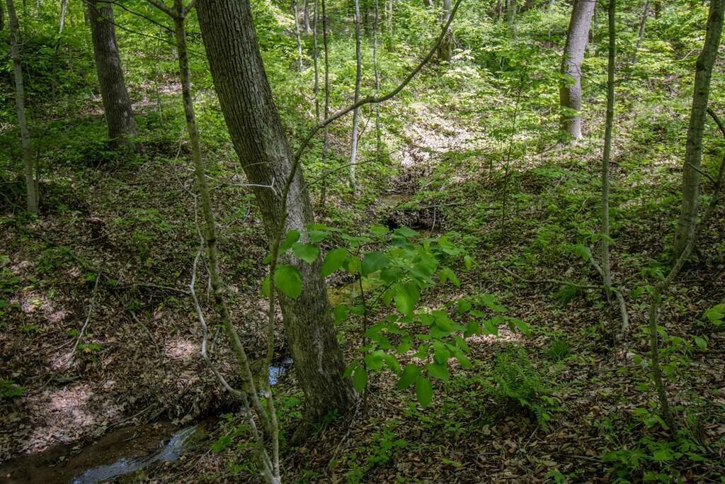 Property Photo: 0 Kinzer Road OH 45612