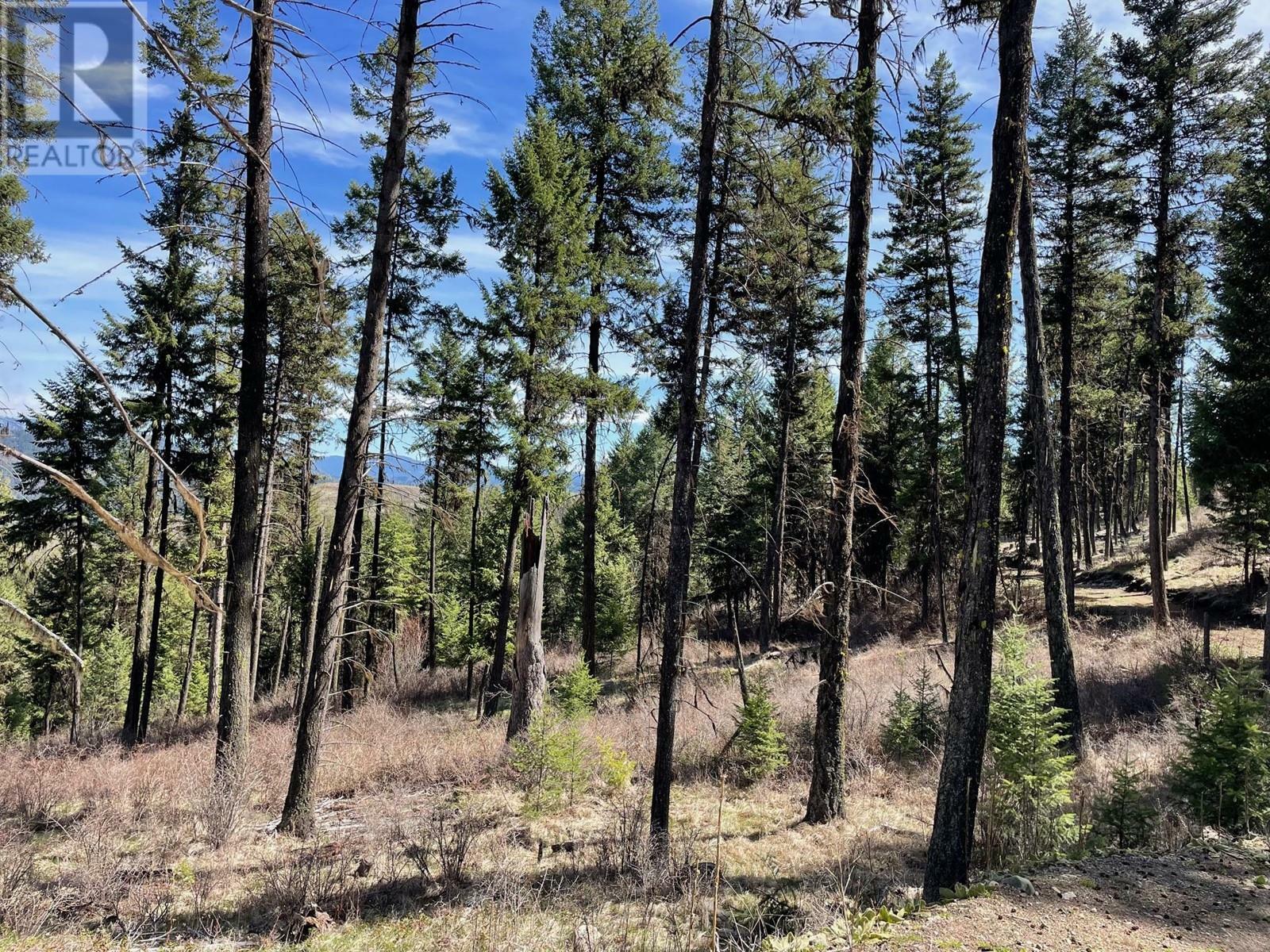 Photo de la propriété:  Lot 2 Hulme Creek Road Lot 2  BC V0H 1Y0 