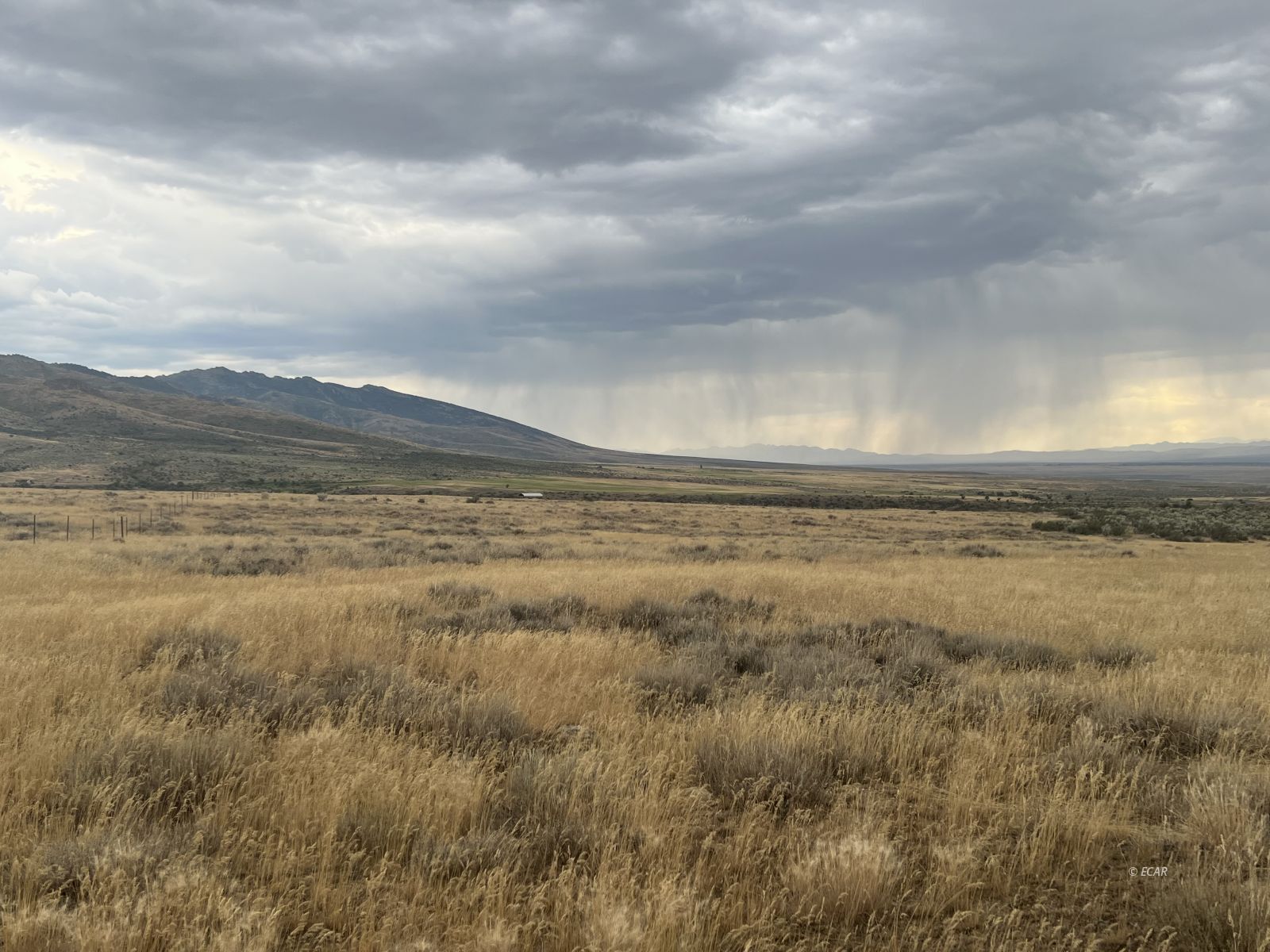 Property Photo: Smith Creek Ranch NV 89815