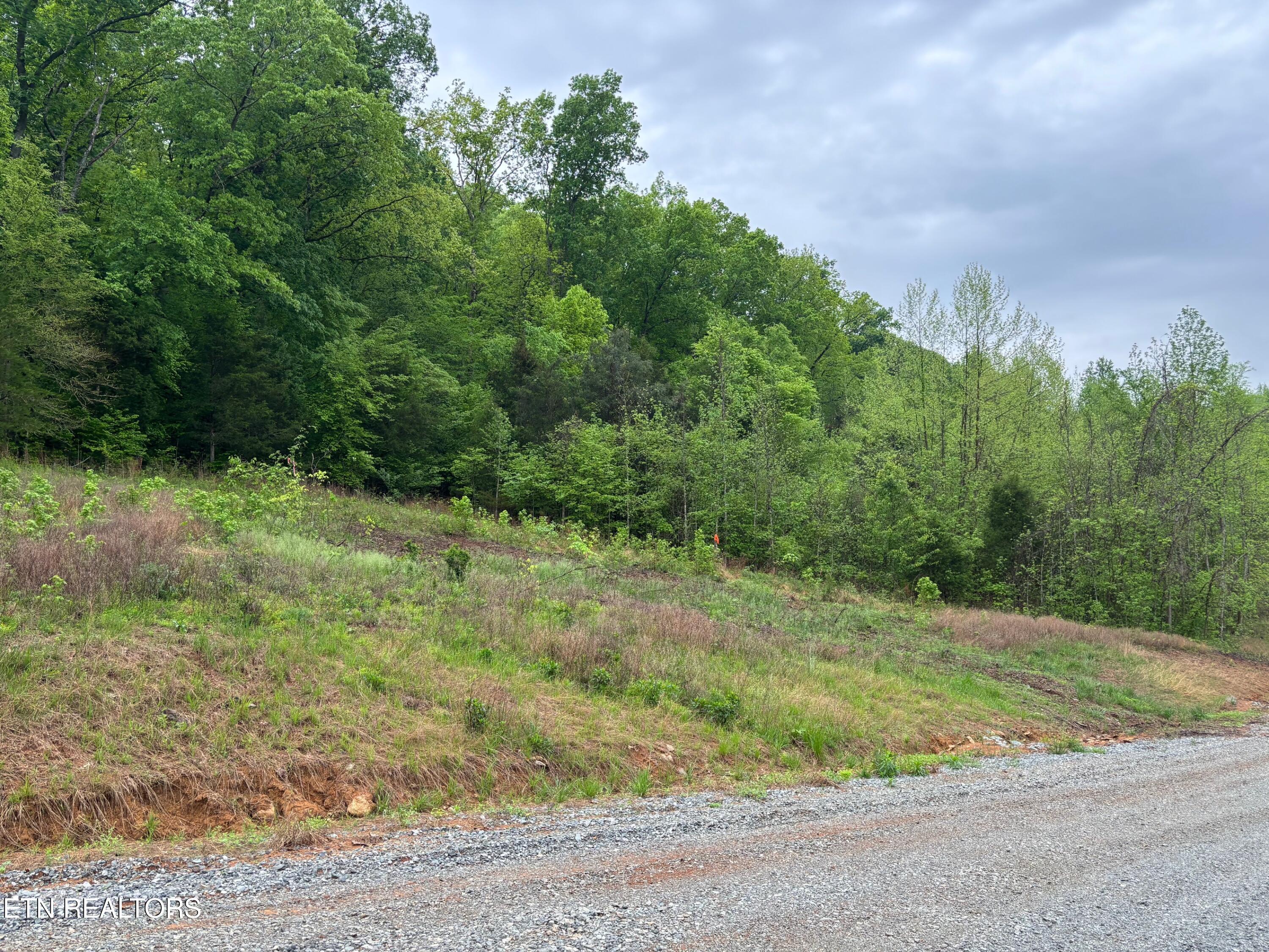 Property Photo:  00 Rolling Acres Lane  TN 37321 