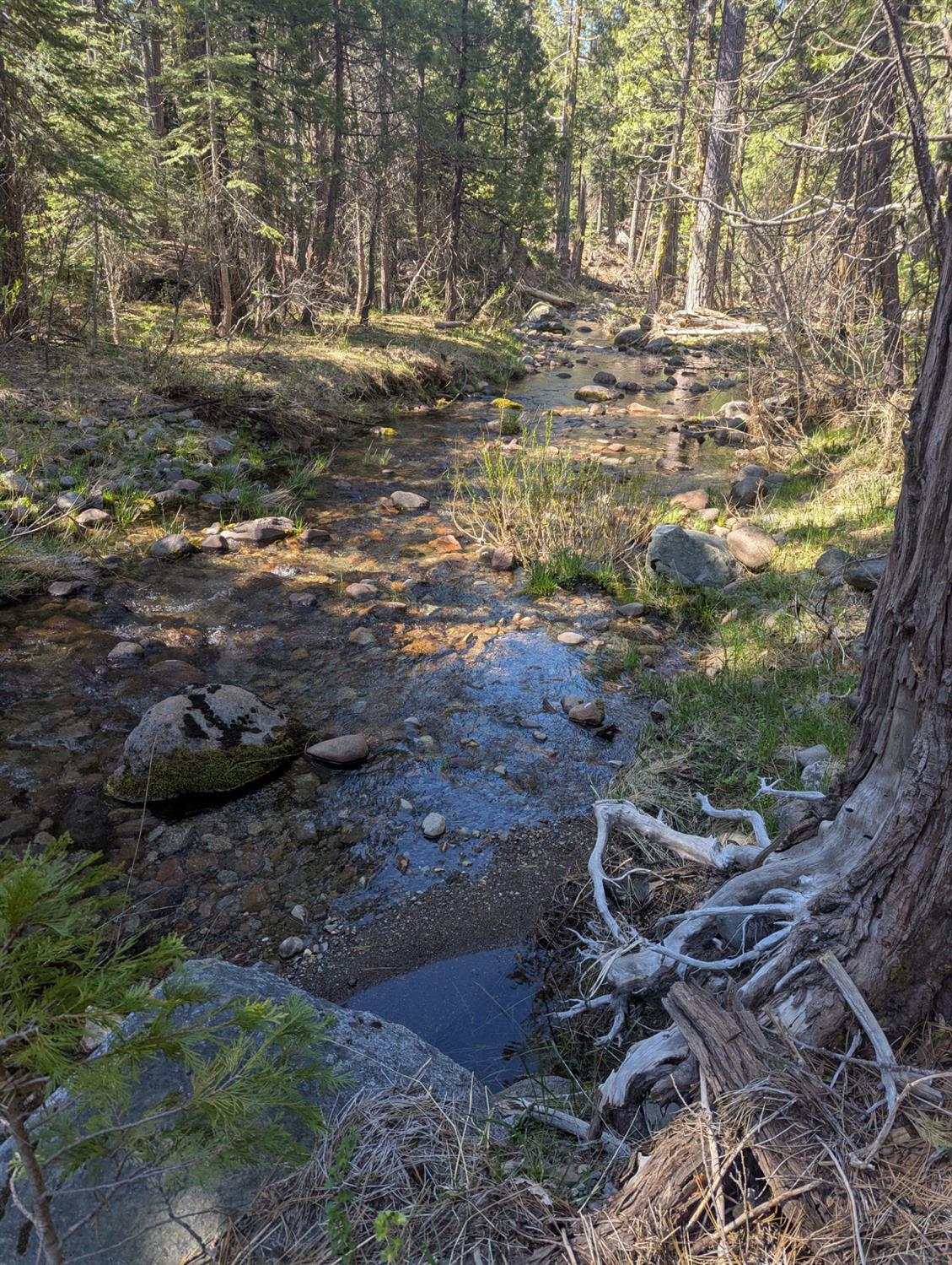 Property Photo: 0 Texas Hill CA 95715