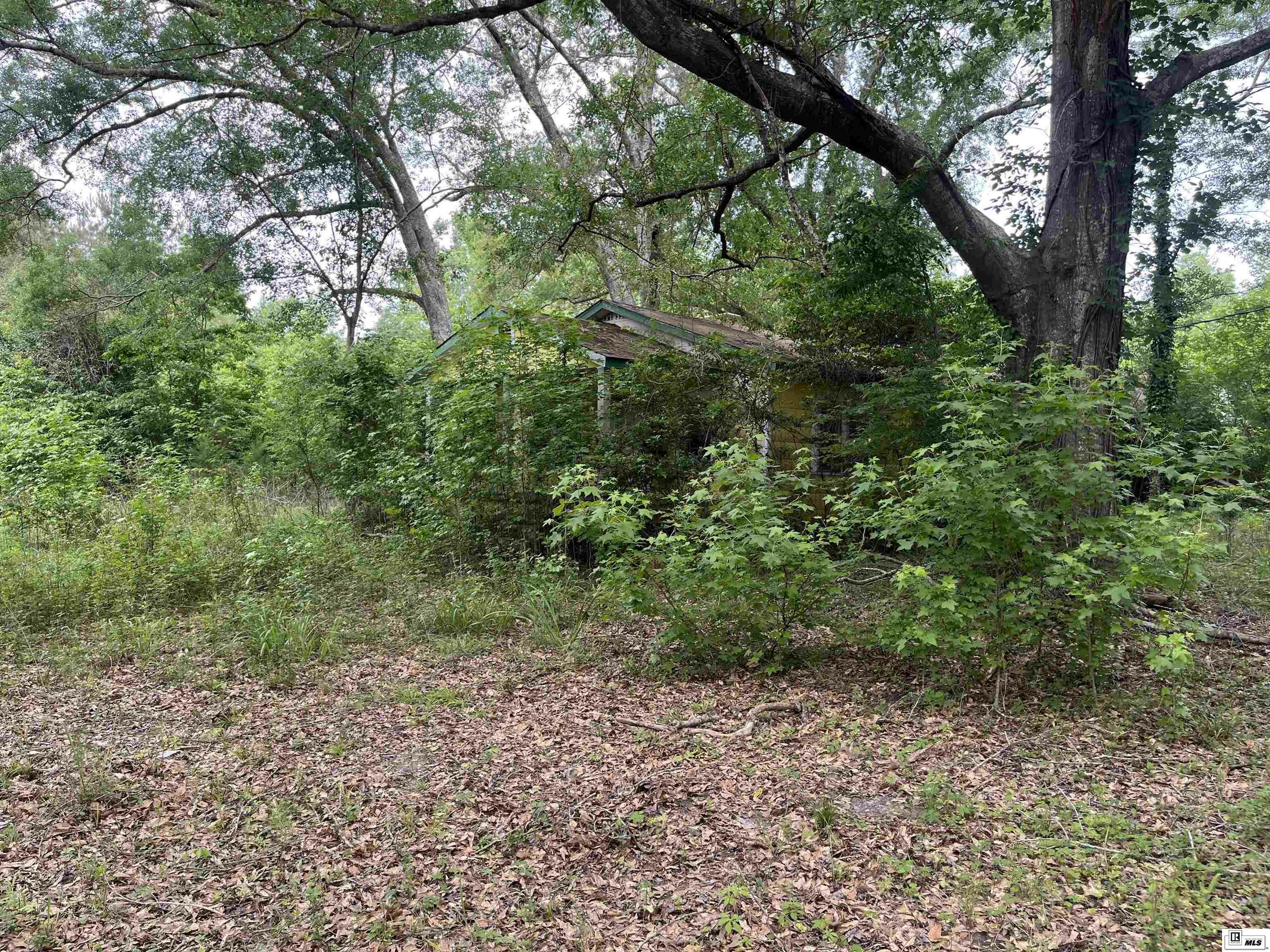 Property Photo:  000 Winnfield Road  LA 71292 