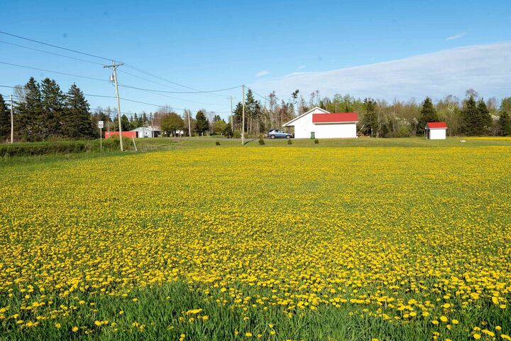Lot1 Bald Eagle Drive Drive  Montague PE C0A 1R0 photo