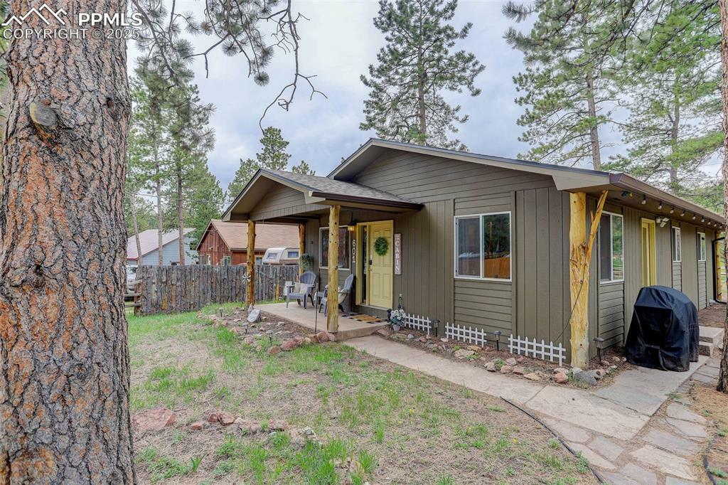 Property Photo: 601 Dallas Alley CO 80863