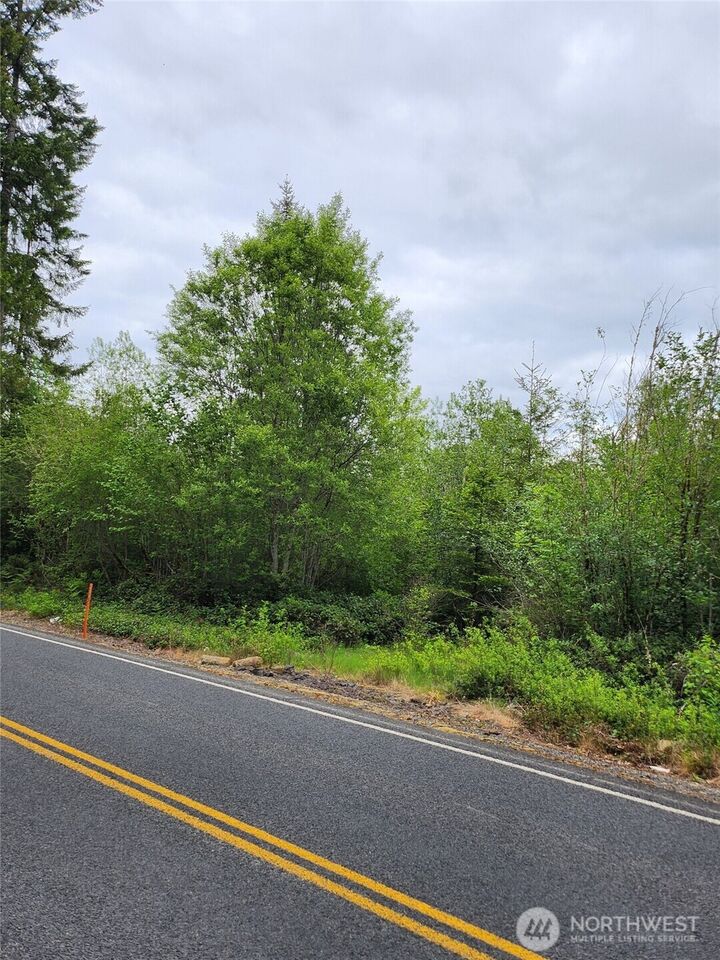 Property Photo: 0 Henriot Road WA 98591