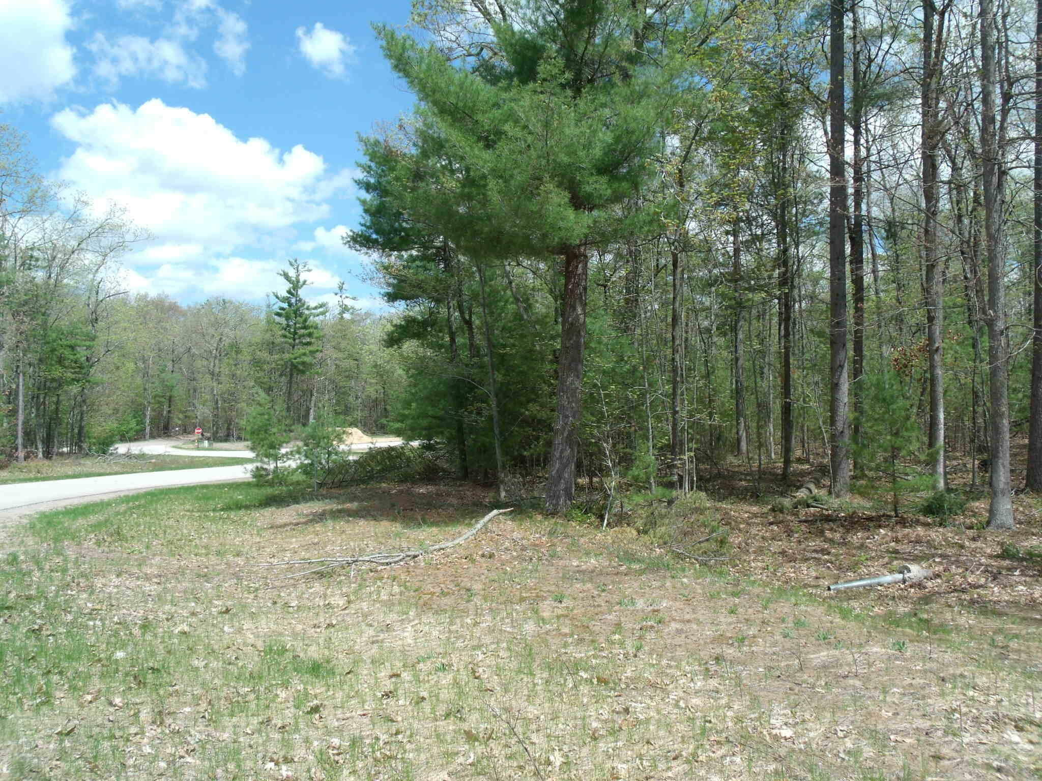 Property Photo: Wintree Drive MI 49749