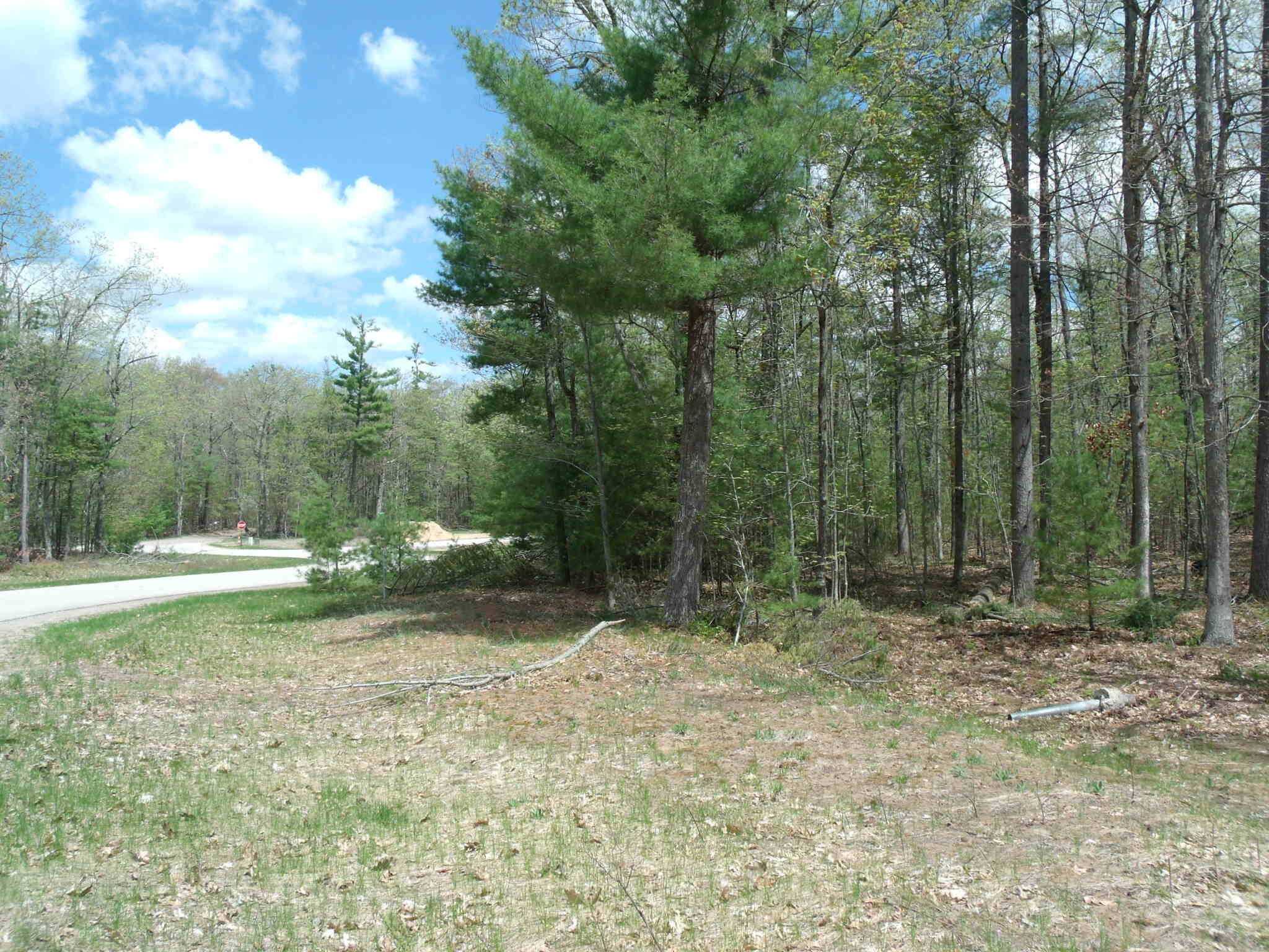 Property Photo: Wintree Drive MI 49749