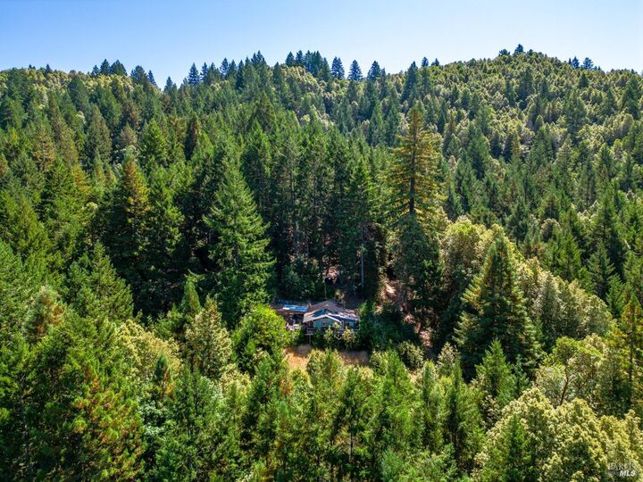Property Photo: 0 0 Low Gap Road CA 95482