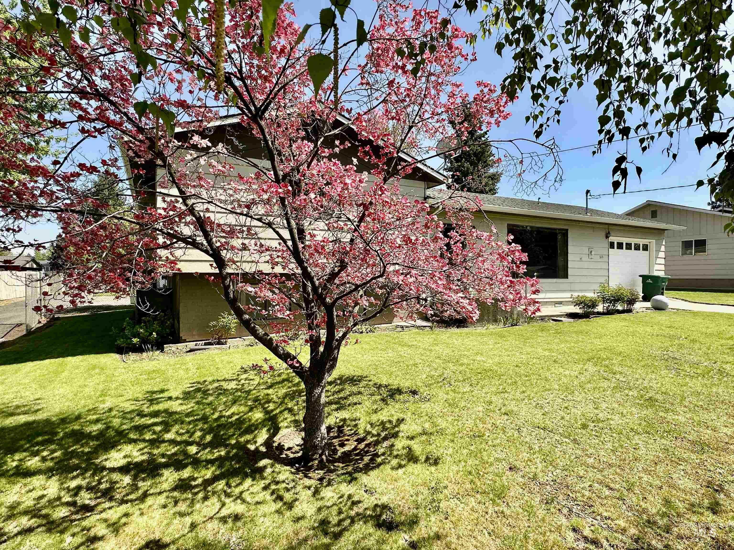 Property Photo: 3115 6th St ID 83501