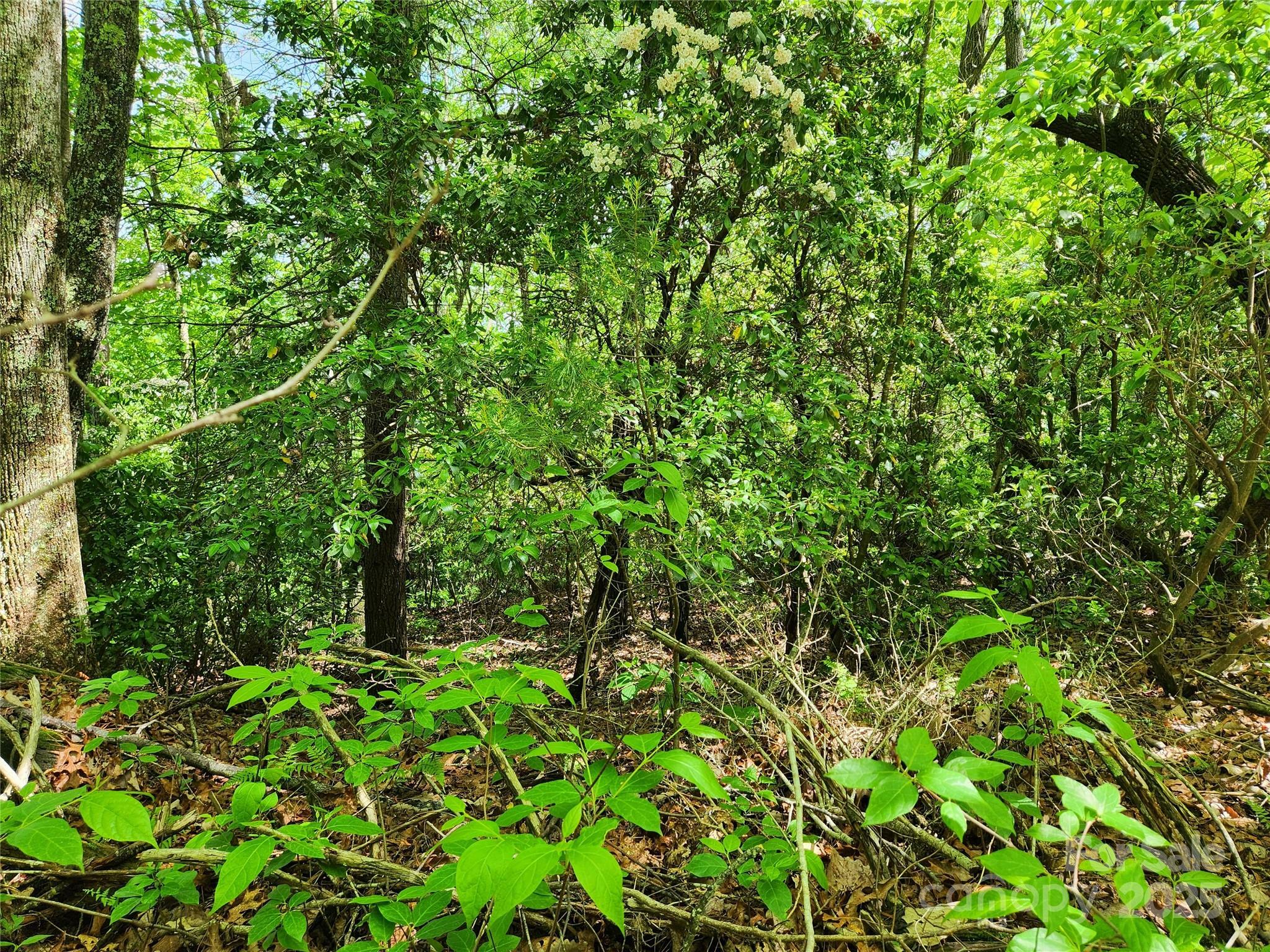 Property Photo: 000 Boone Top None NC 28790