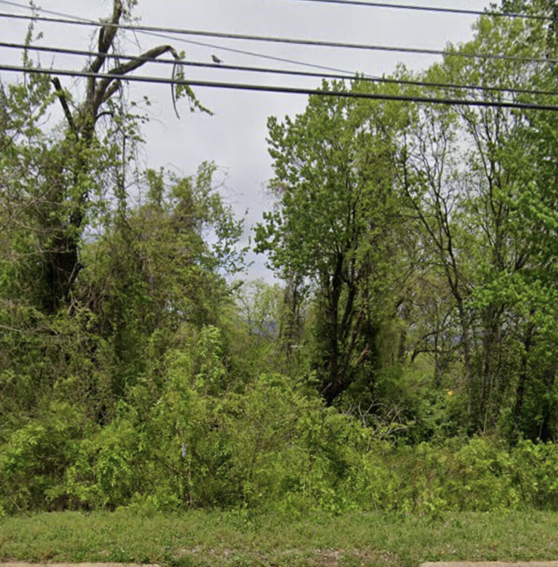 Property Photo: 3529 Dodson Avenue TN 37406