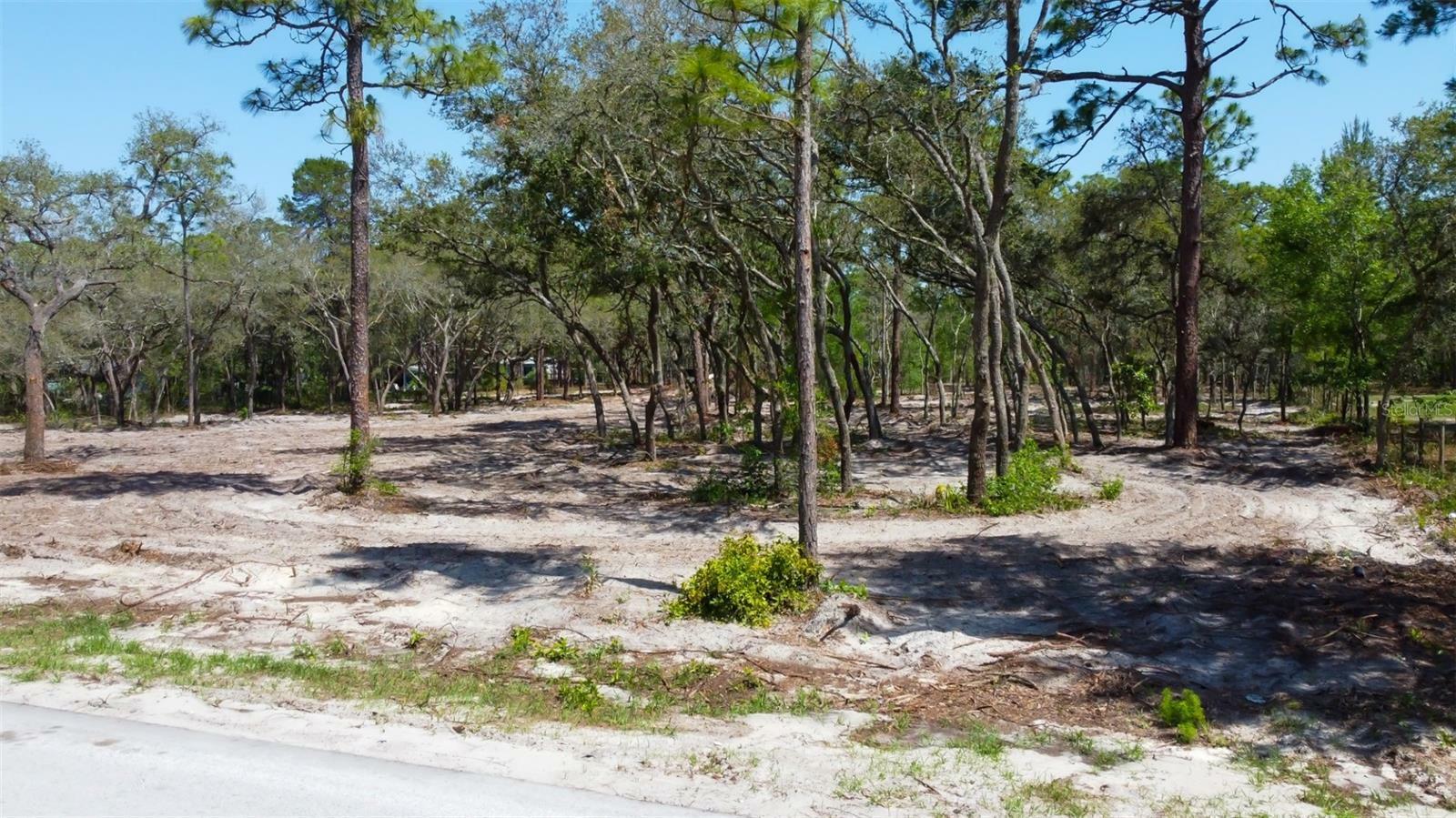 Property Photo: 0 Akins Drive FL 34604