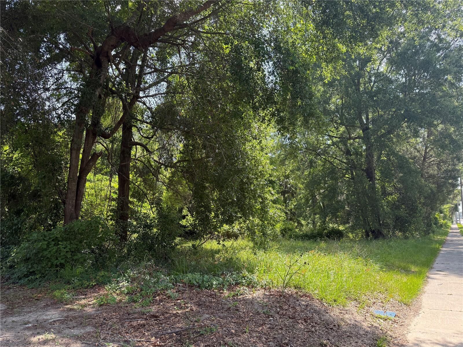 Property Photo:  00 W US Hwy 27  FL 32643 