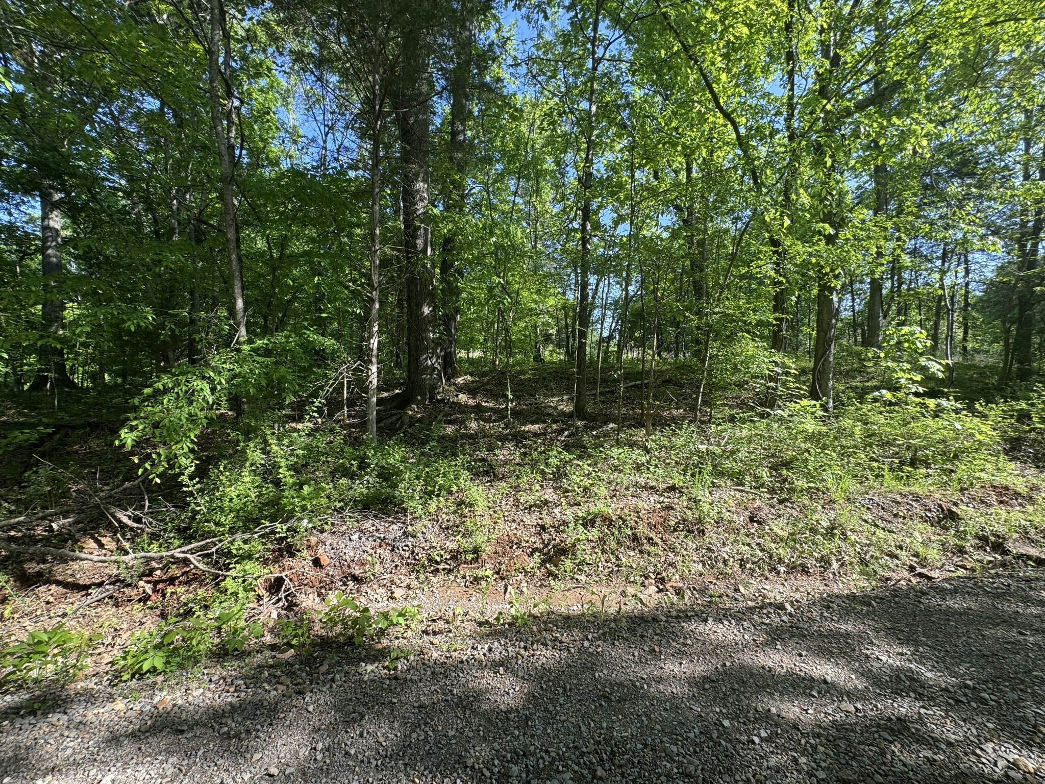 Property Photo: 0 Walker Rd TN 37079