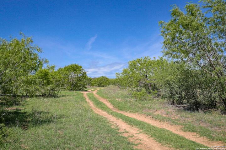 Property Photo: 000 Stevens Road TX 78069