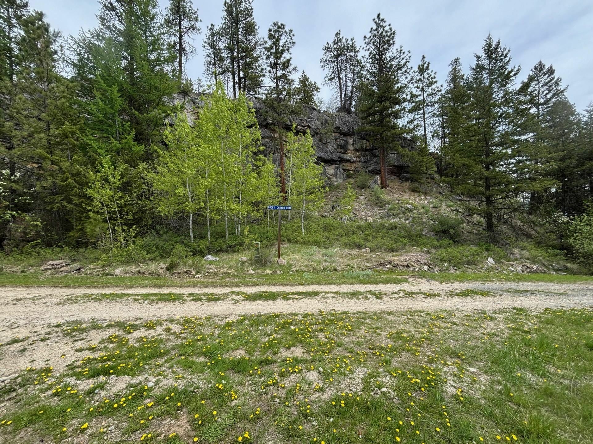 Property Photo: 11X Rocky Canyon Rd 3629220013 WA 98855