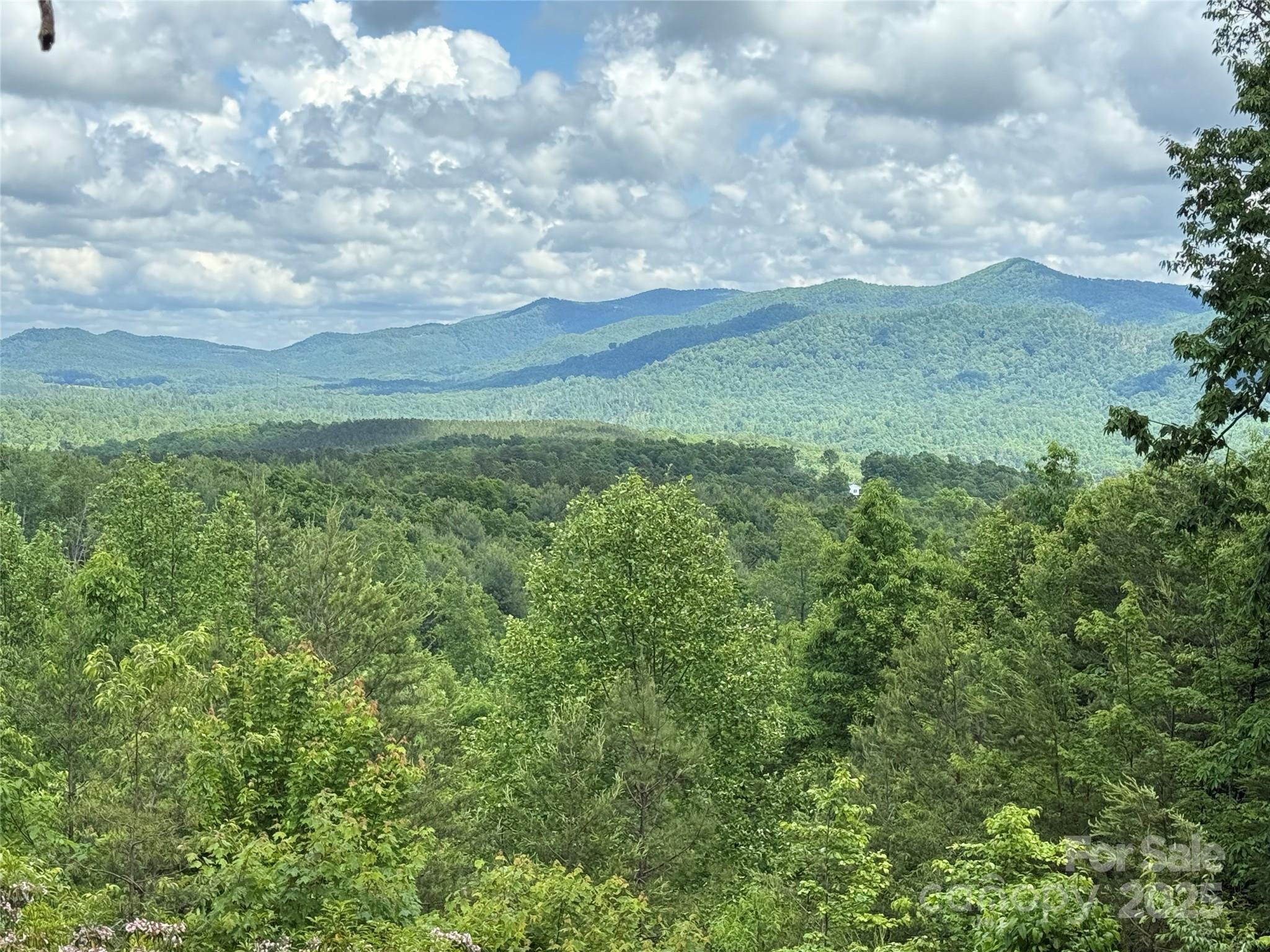 Property Photo:  113 Valley View Trail 323  NC 28761 