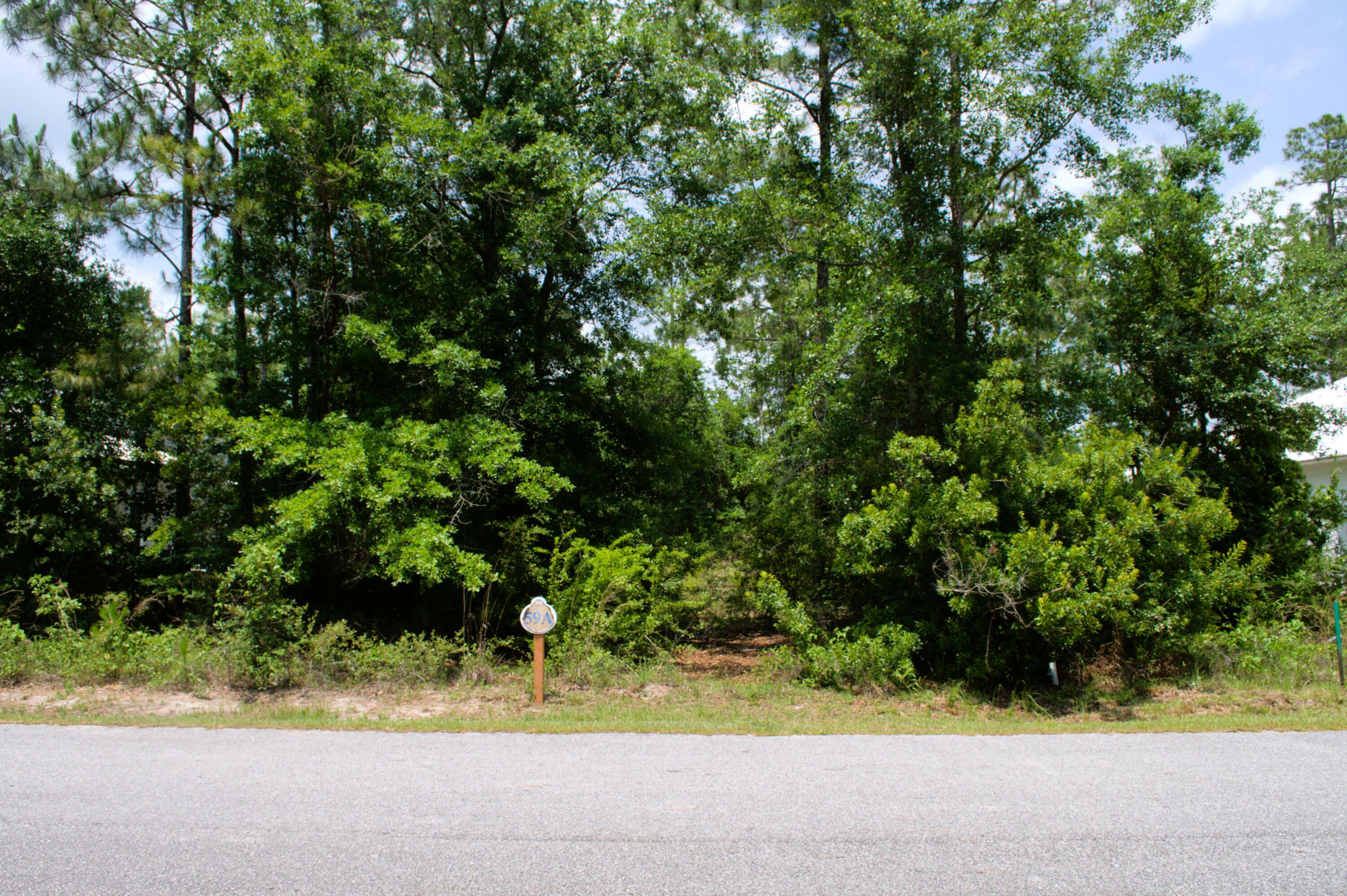 Property Photo: Lot 59 Muzzle Street FL 32439