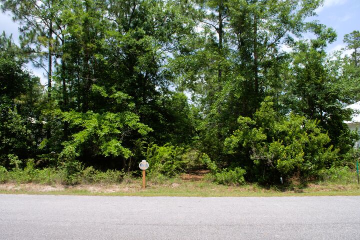 Property Photo:  Lot 59 Muzzle Street  FL 32439 