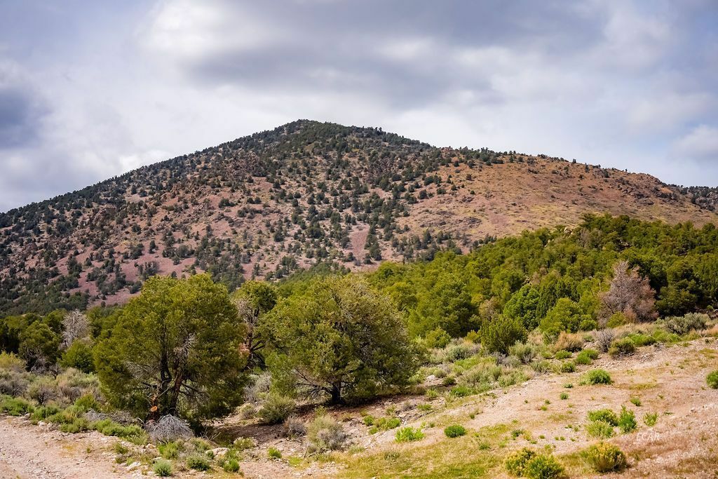 Property Photo: 1090 Cherry Creek Road NV 89301