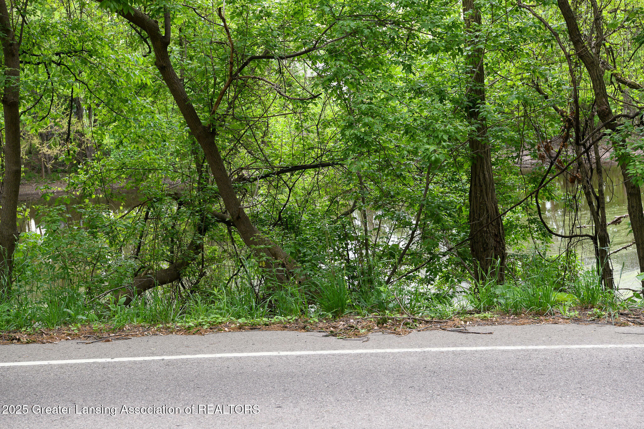 Property Photo: V/L Hollister Road MI 48848