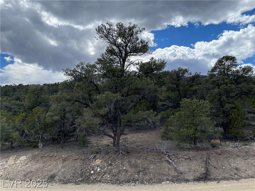 Property Photo: 175 East Ward Mountain Drive NV 89301