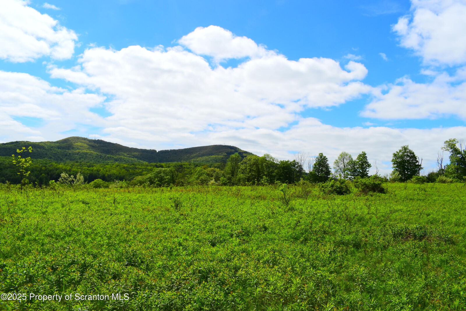 Property Photo:  Lyon Street  PA 18470 