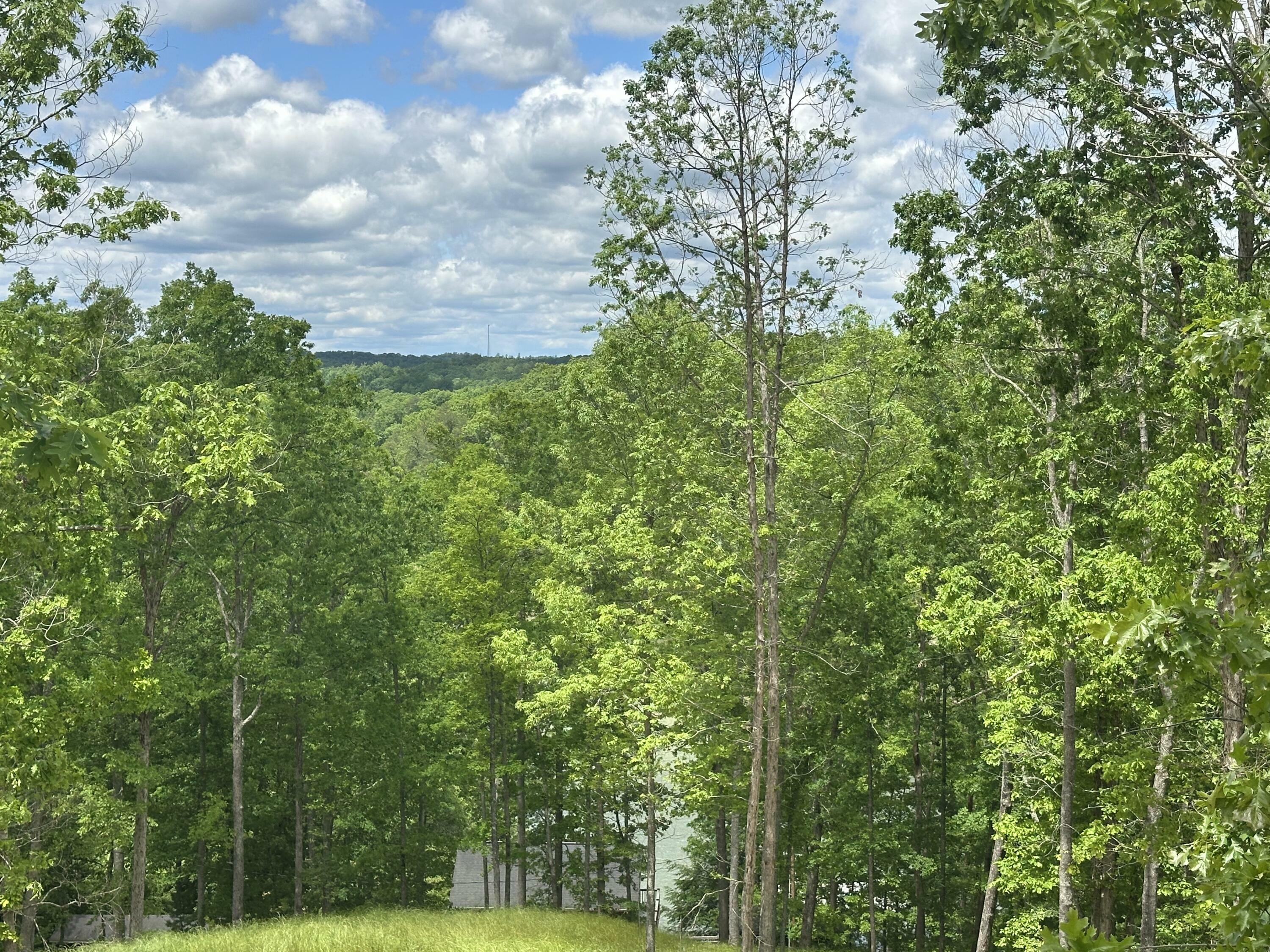Property Photo: 35 Stella Lane KY 40729