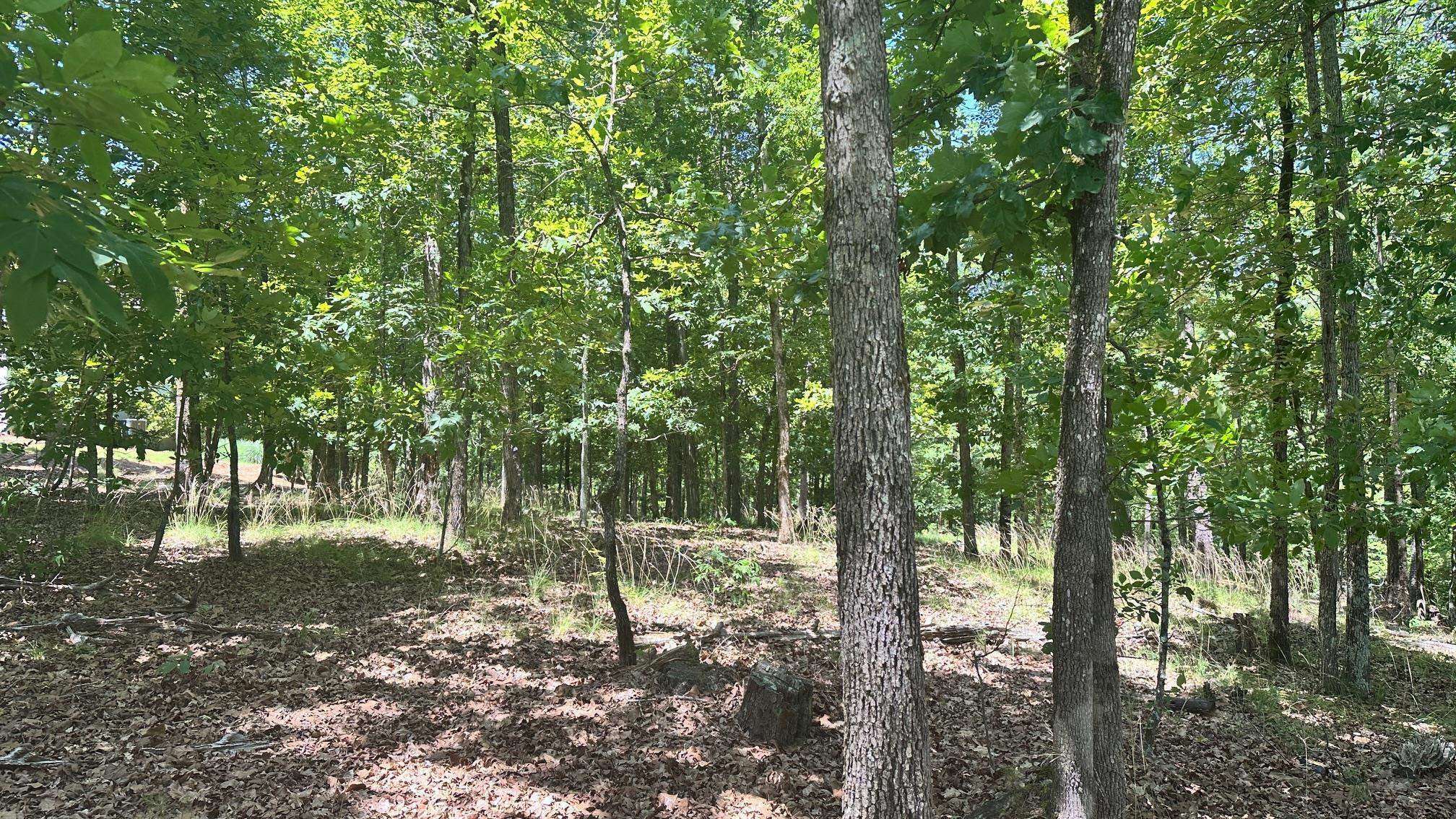 Property Photo: 1051 Pebble Hill Lane GA 30642