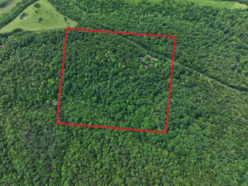 Property Photo: 1619 Stone Road MO 64854