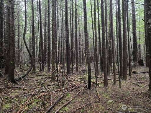 Property Photo: 0 End Of Greenwood Road WA 98550