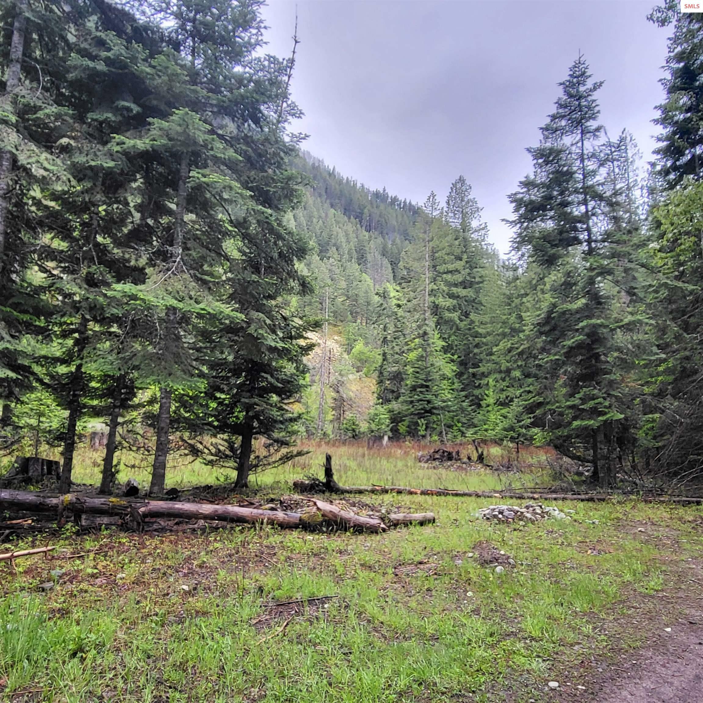 Property Photo: Nna Silver Ave ID 83803