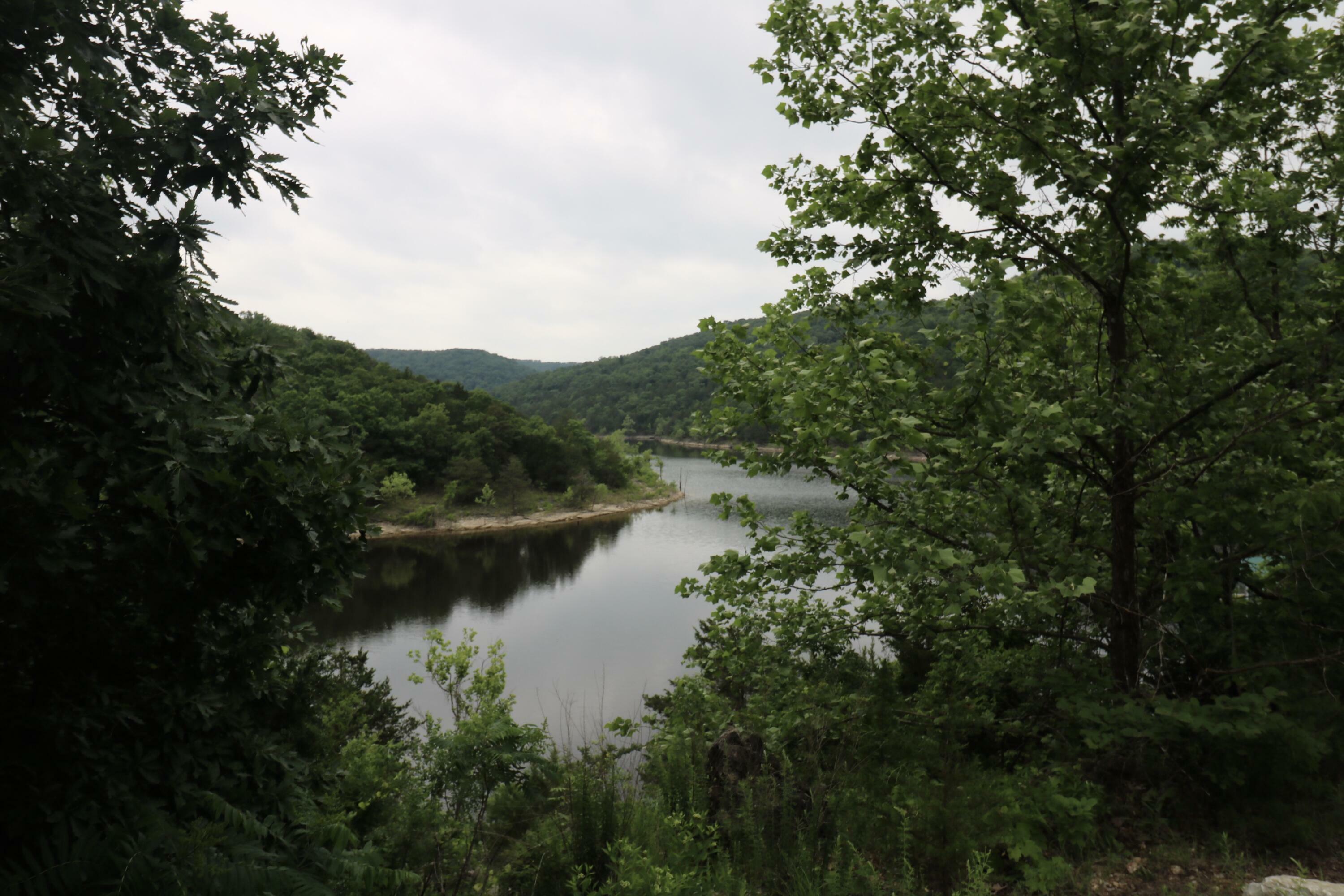 123 Joseph Cove Drive  Lampe MO 65681 photo