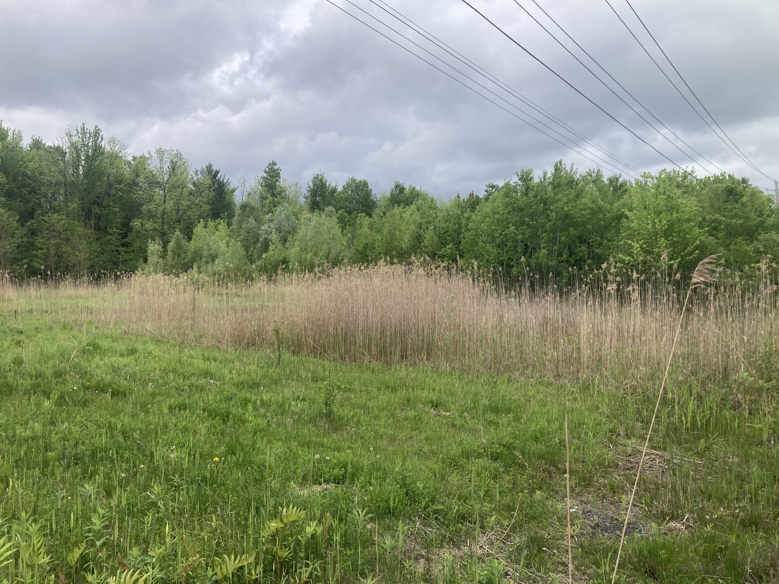 Property Photo:  00 Wallace Hill Road  NY 12901 