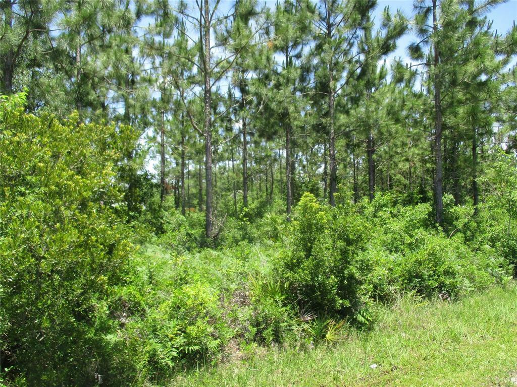 Property Photo: 10th Avenue FL 32046