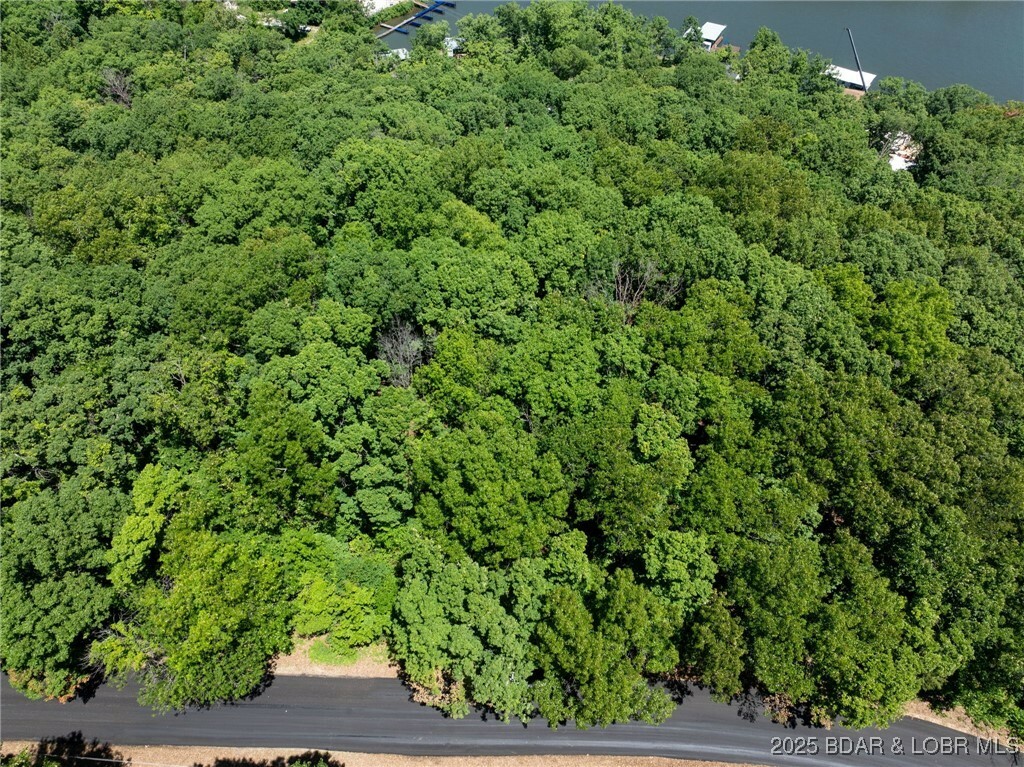 Property Photo: Lot 16 Flame Drive MO 65020