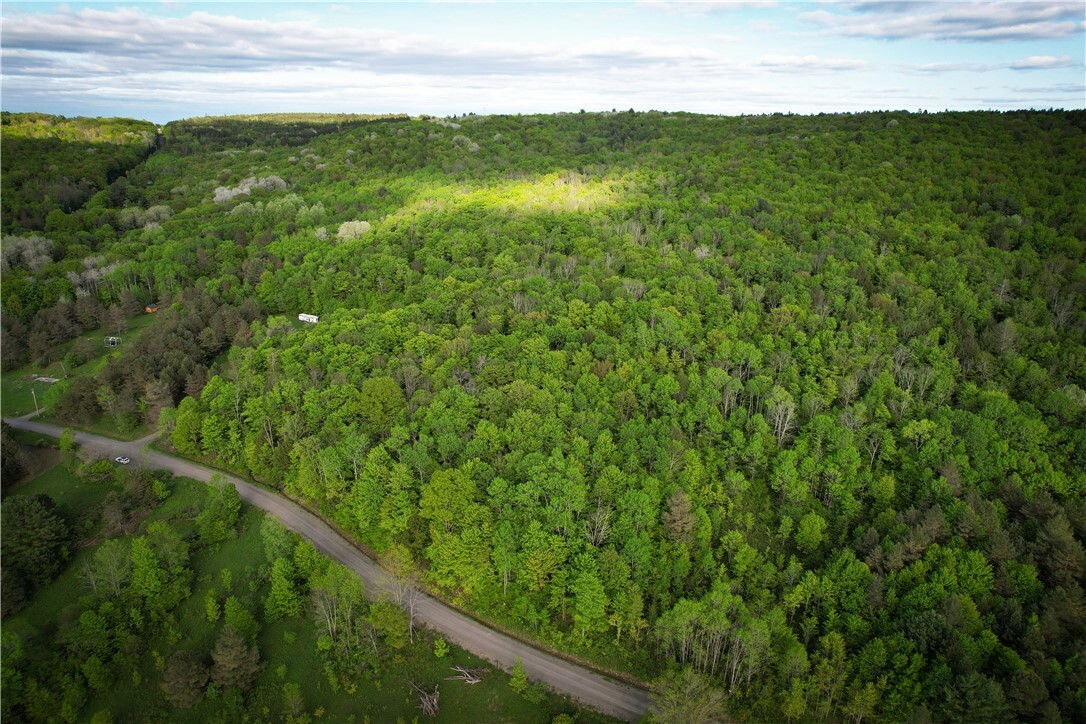Property Photo: Hubby Road NY 13835