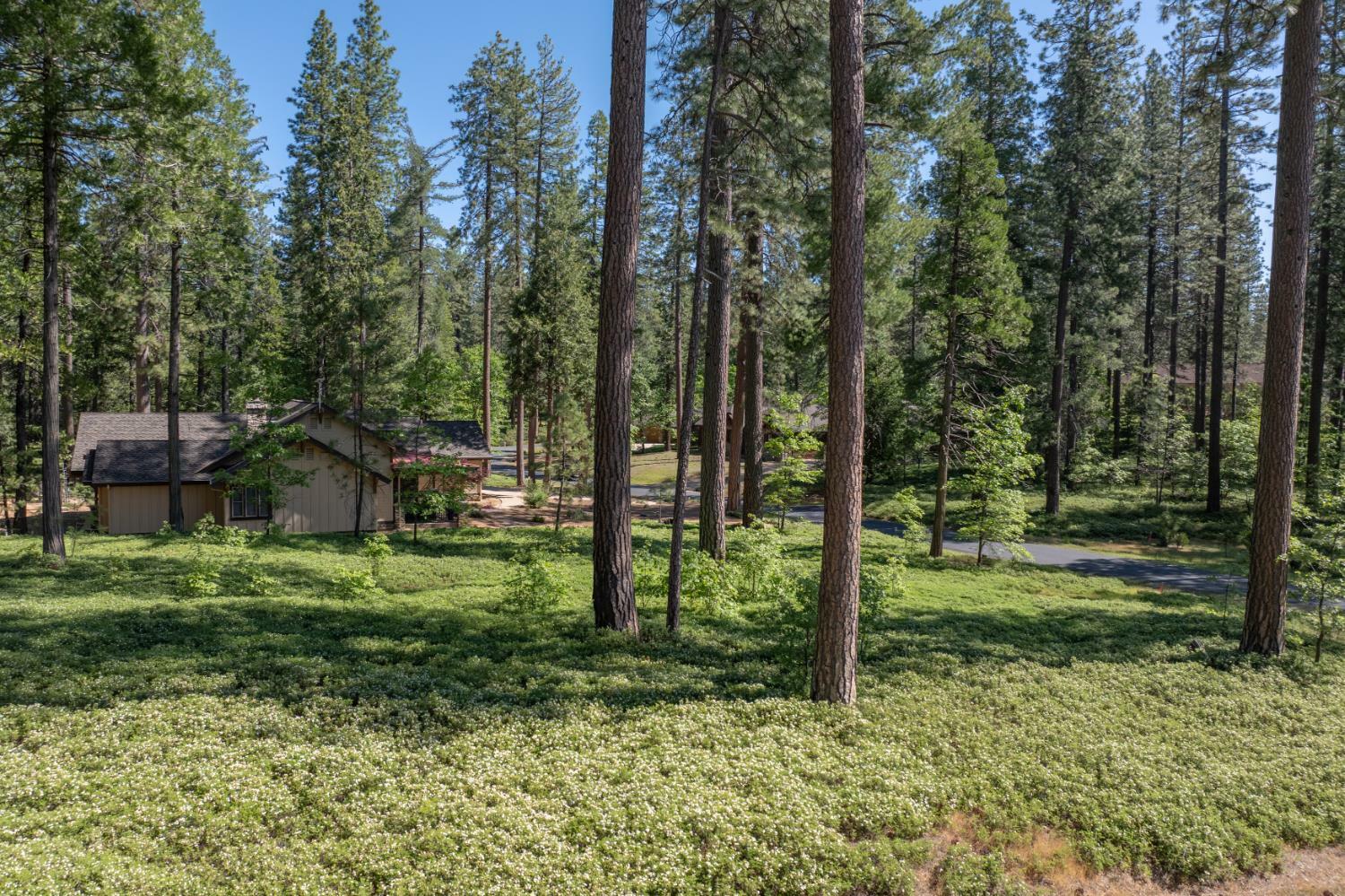 Property Photo: 0 Vireo Way CA 95224