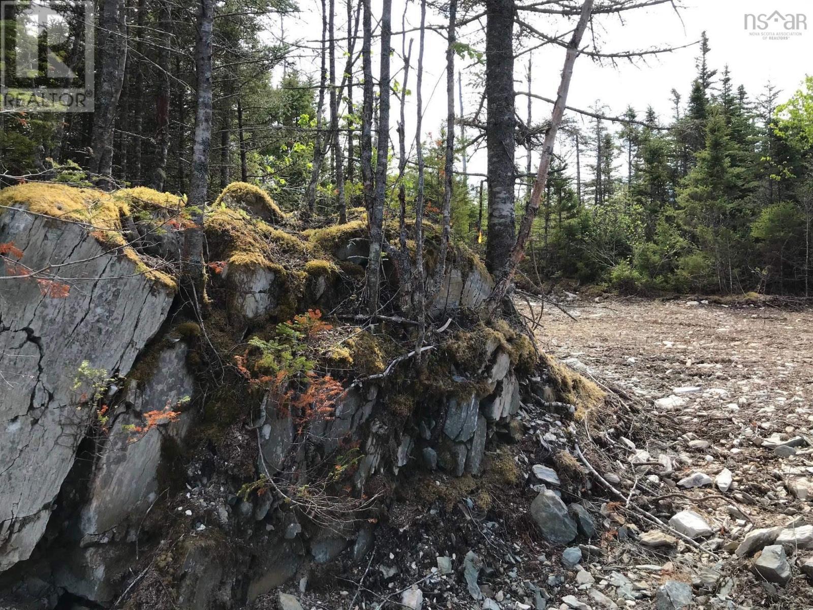 Property Photo:  No. 7 Highway  NS B0H 2G0 