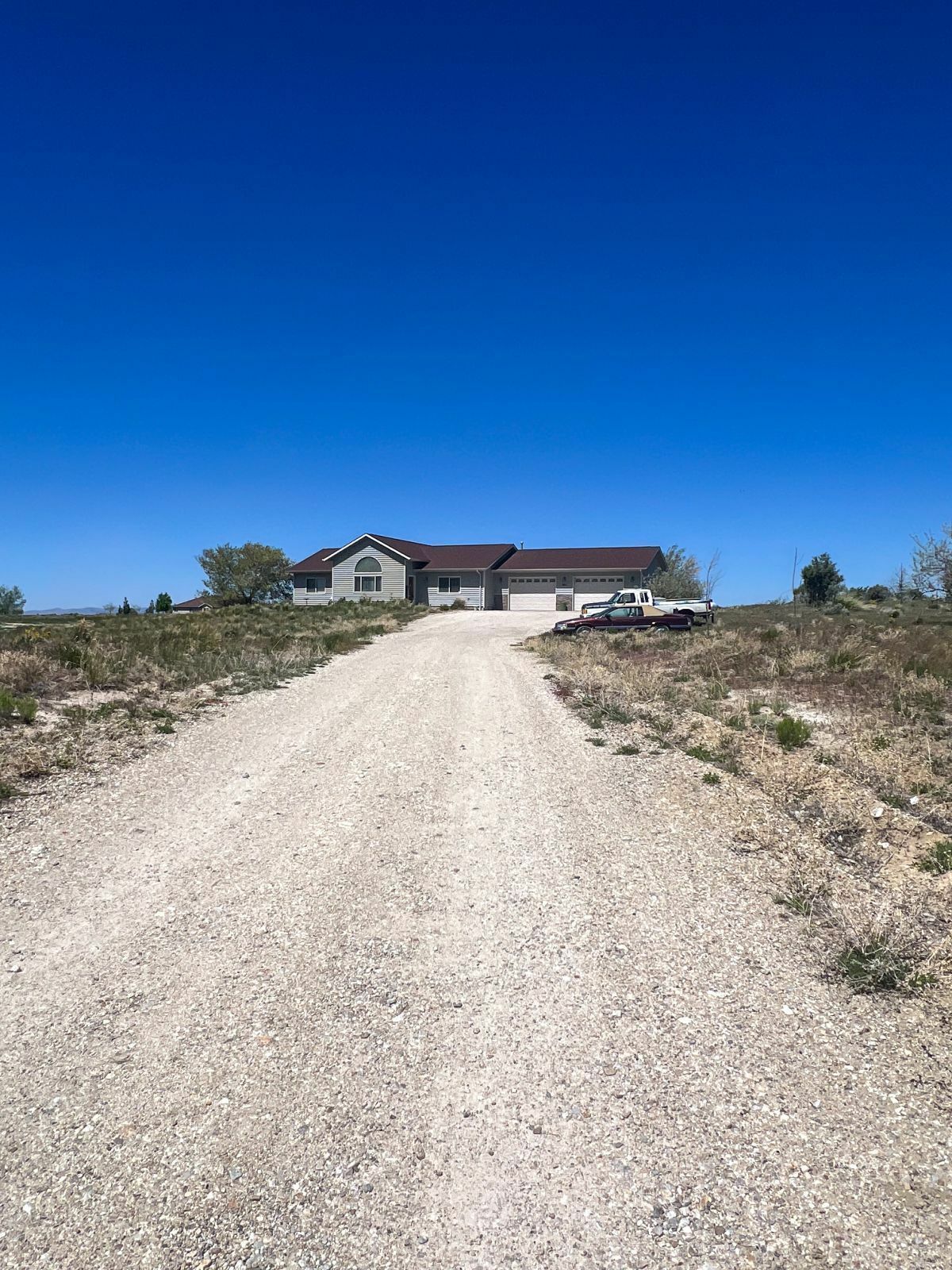 Property Photo: 463 Frisco Drive NV 89815