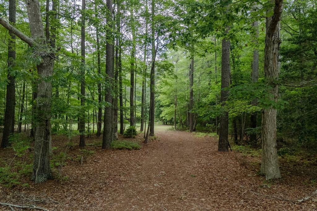 Property Photo: Lot 3 Peaceful Pond Dr VA 23398