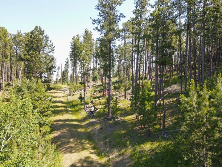 Property Photo:  Tbd Wasp Road  SD 57754 
