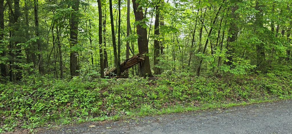 Property Photo: Lot 3760 Graham Court GA 30540