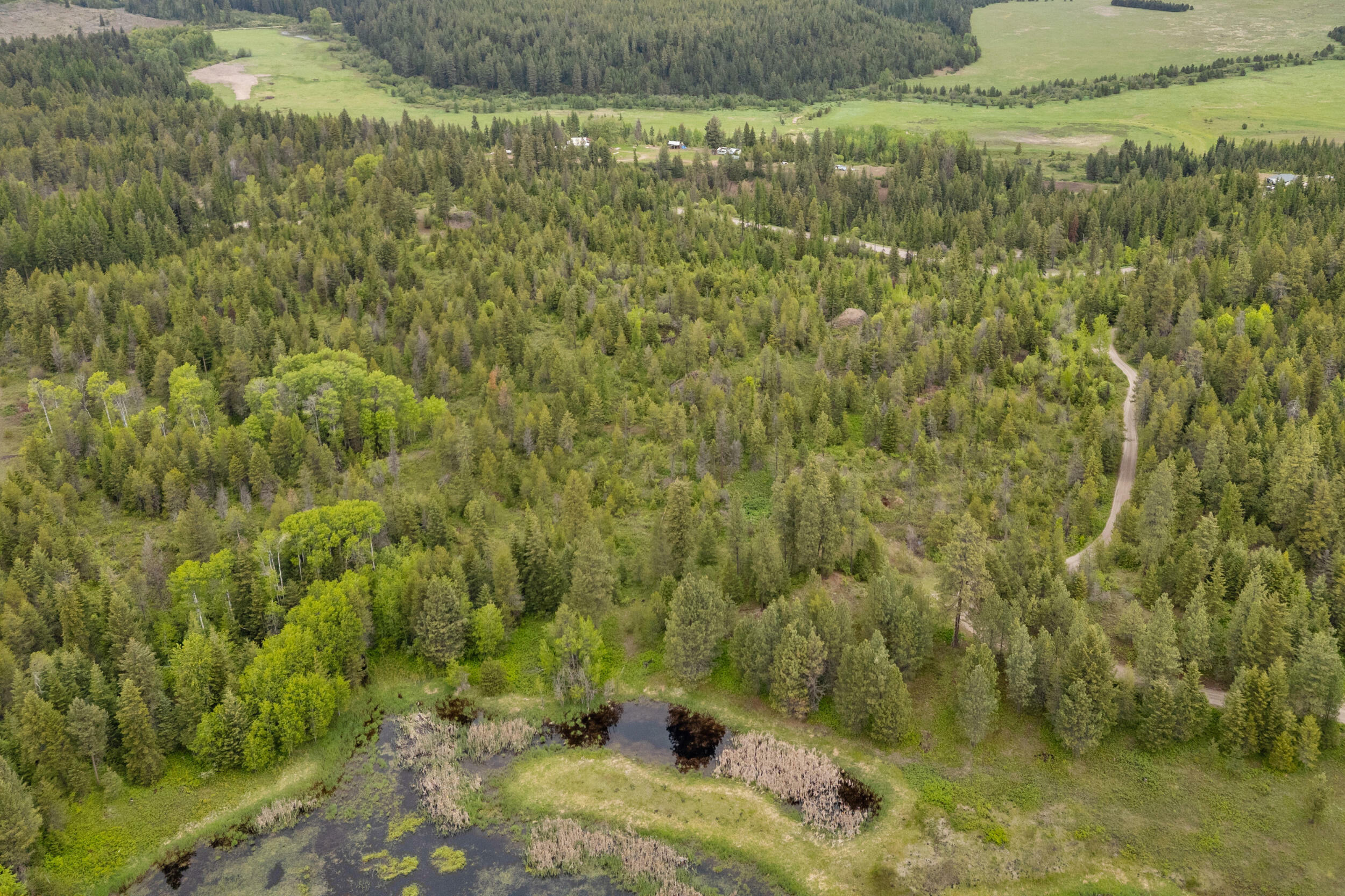 Property Photo: Lot 1 Hesseltine Rd WA 99181