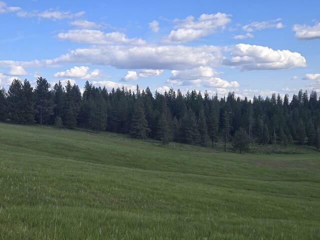 Property Photo: 5266 Wagner Rd WA 99173