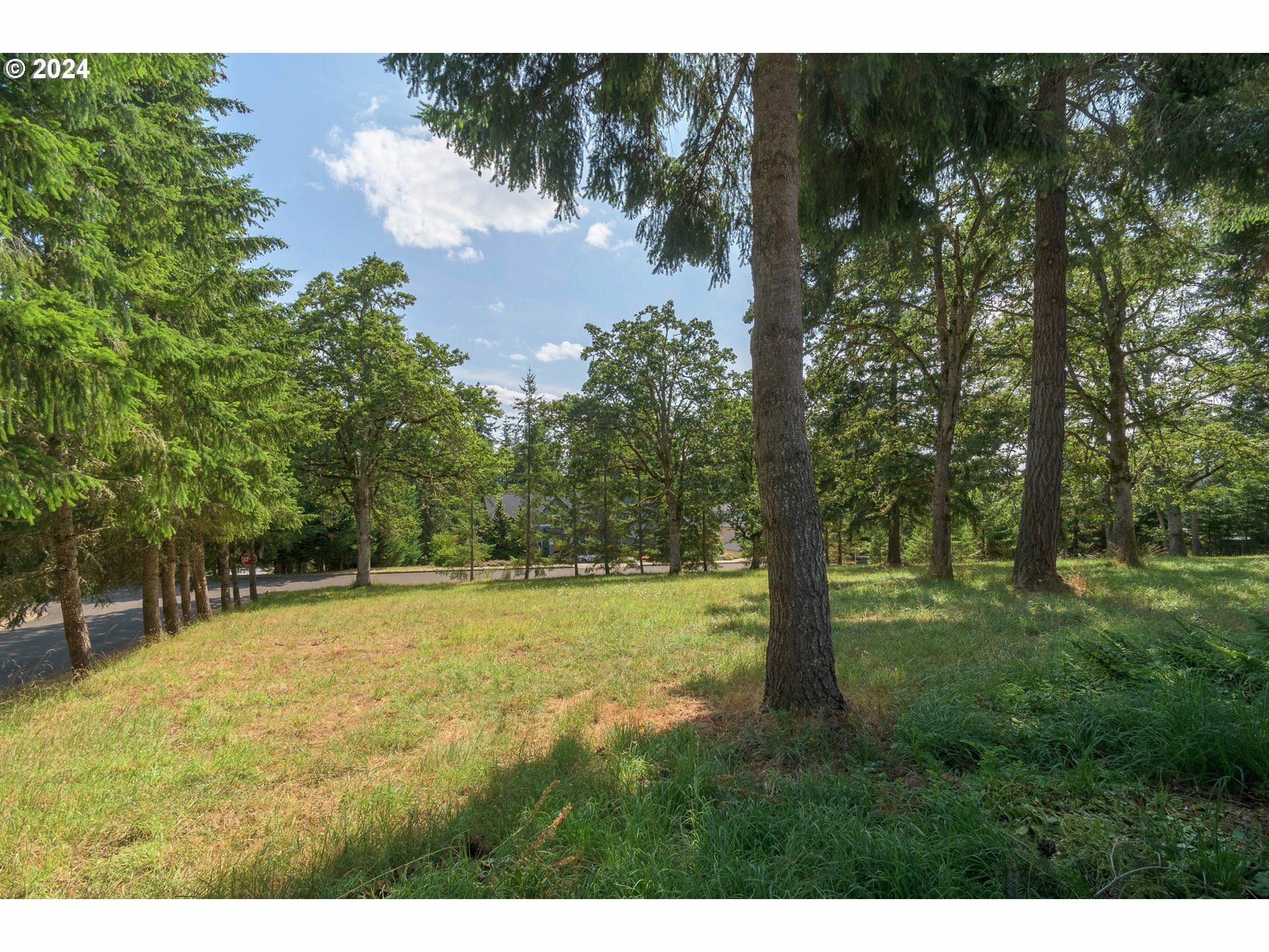 Property Photo: Lasater OR 97405