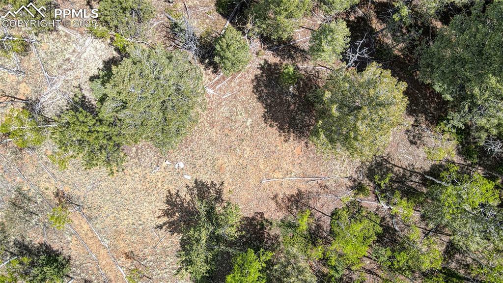Property Photo: 1058 Bennett Drive CO 80813