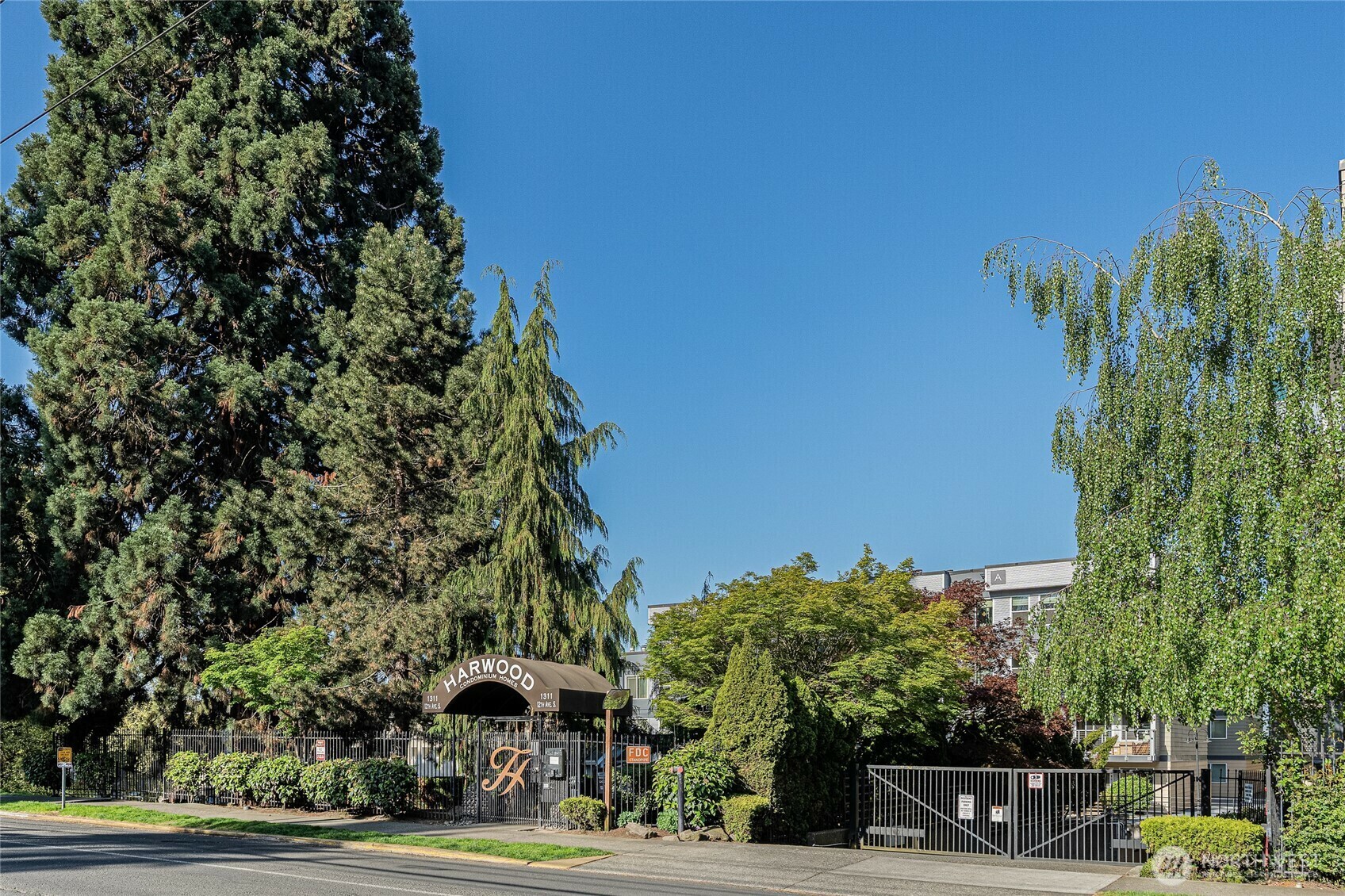 1311  12th Avenue S B102  Seattle WA 98144 photo